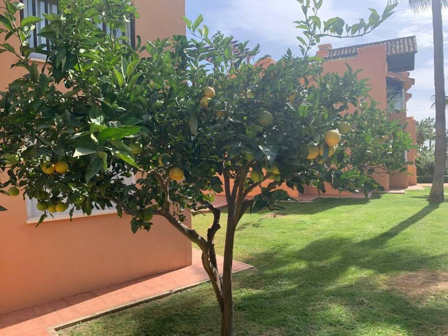 Schoenes Penthouse Mit Meerblick Pura Vida Bahia de Casares Zewnętrze zdjęcie